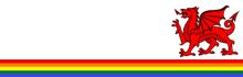 Cardiff tops Stonewall listings